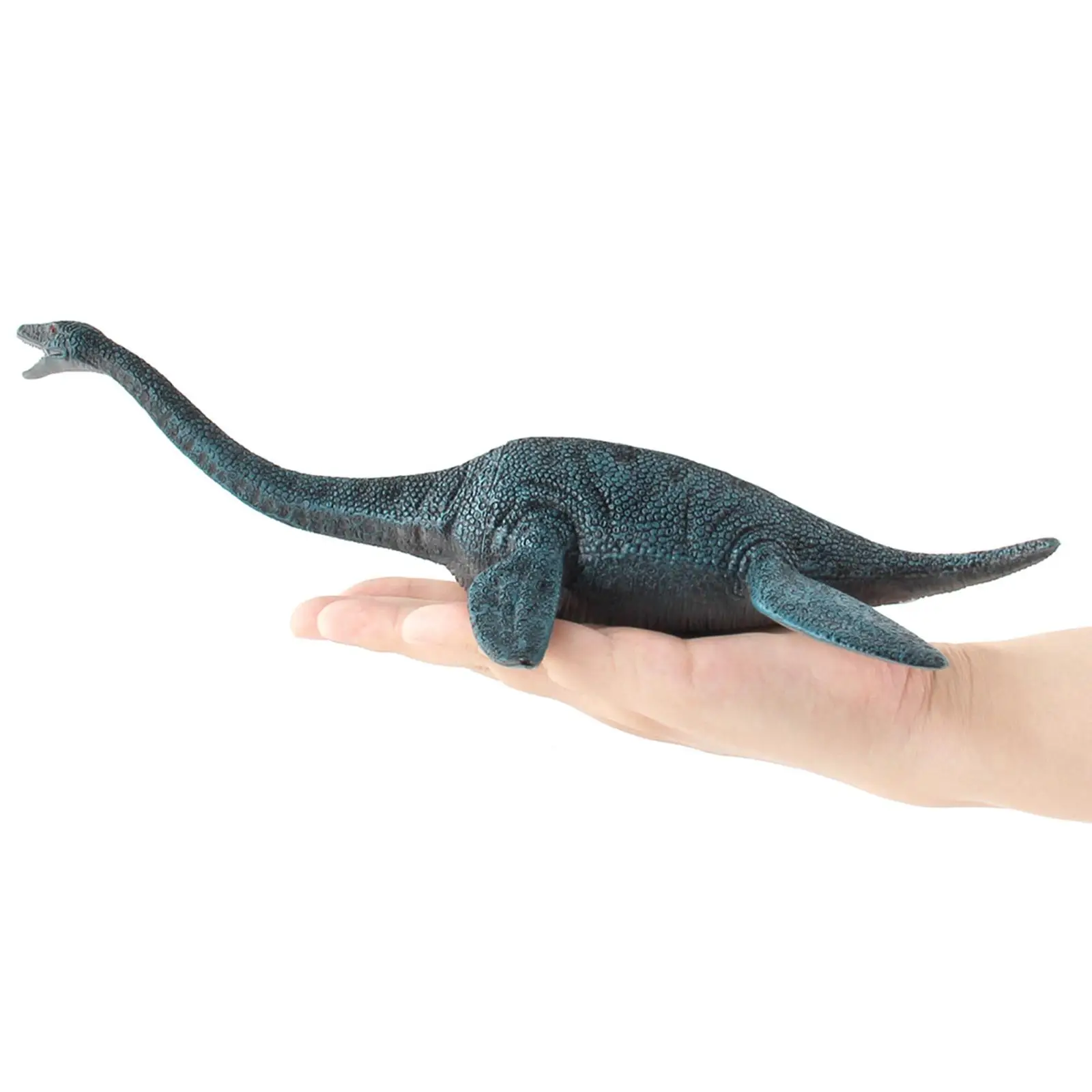 Simulation Dinosaur Model Decoration Collection Durable Figure Gift Ancient Toy Educational Plesiosaurus for Party Birthday