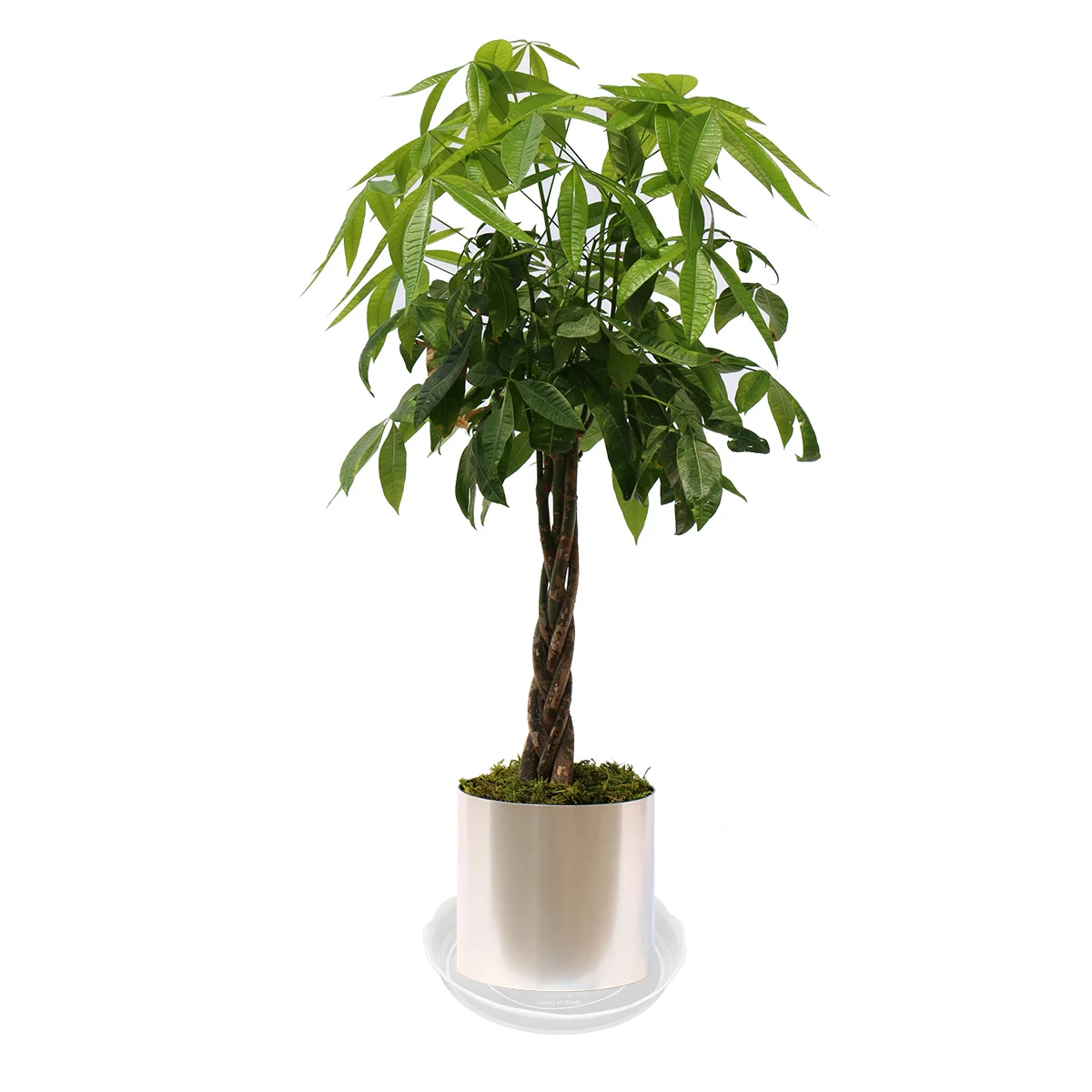 20 Buah Nampan Pot Bunga Bulat 22Cm Piring Tanaman Plastik Transparan untuk Bonsai Taman Balkon Nampan Pot Bunga Piring Pot Tanaman