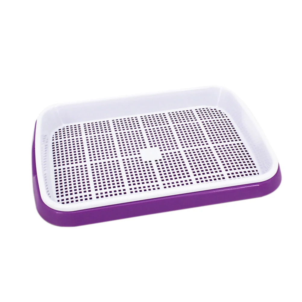 1 قطعة مجموعة صينية تنبت الأرجواني Bpa الحرة Pp نظام النمو بدون تربة لعشب القمح Microgreens الفواكه الخضروات متعددة الوظائف #5