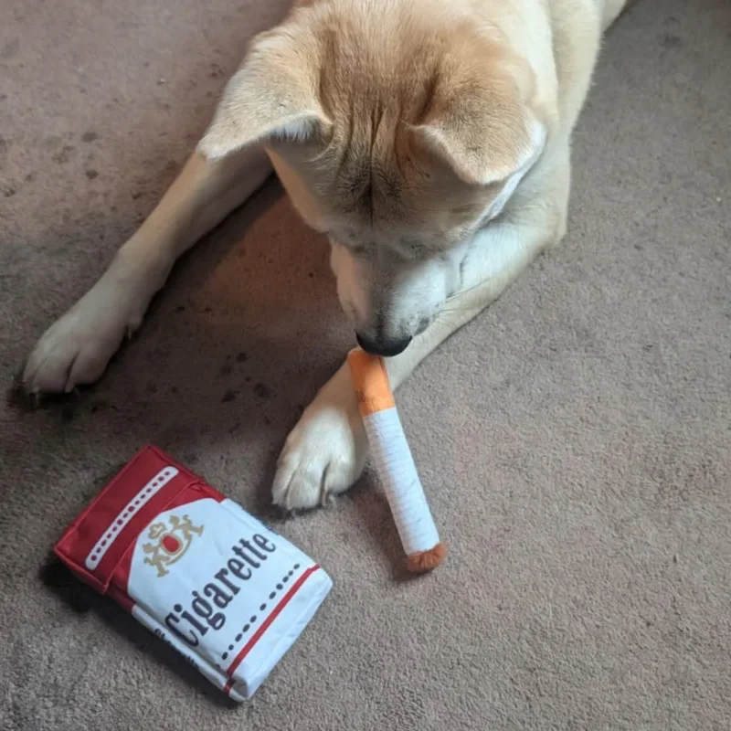 Novelty Cigarette Pack Plush Dog Toy – Squeaky Set