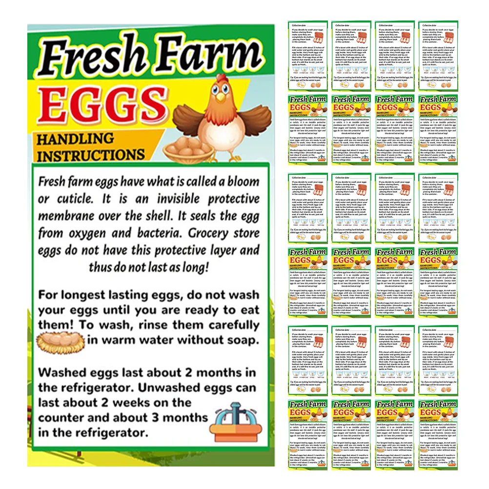 

250pcs Fresh Farm Fresh Egg Handling Instructions Label For Safe Storage Egg Handling Instruction Cards