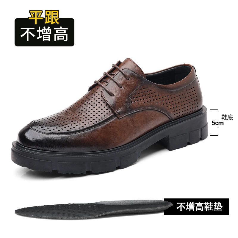 Z81-1Brown Hollow