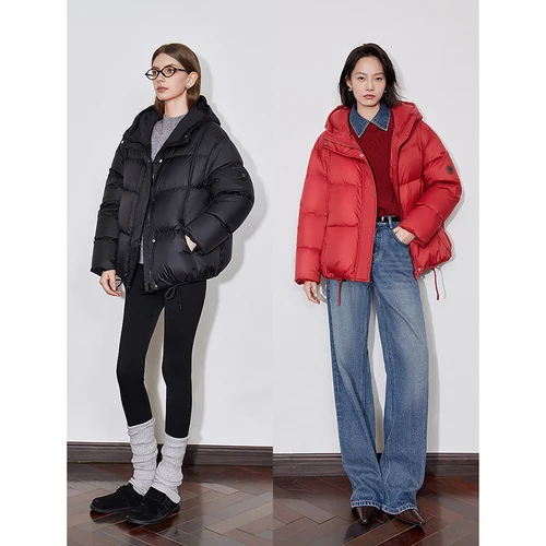 أسفل المعاطف