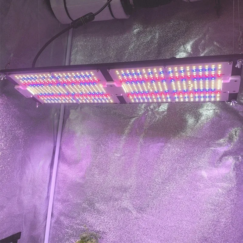 150 واط/240 واط/320 واط لوحة التكنولوجيا Lm301h Evo جودة عالية الأشعة فوق البنفسجية الأشعة تحت الحمراء الأزرق الطيف الكامل تنمو أضواء LED للنباتات الداخلية #4