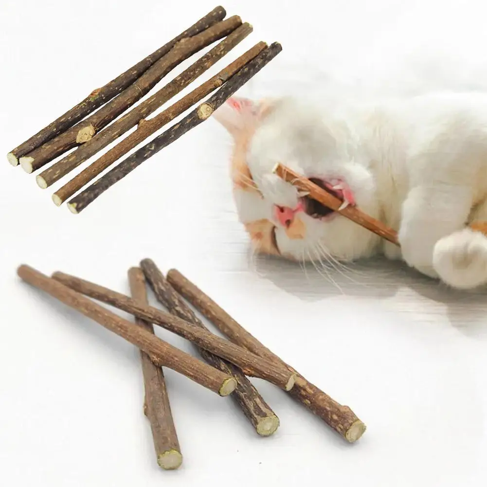 Natural Cat Nip Pet Cat Molar Toothpaste Stick Actinidia Snacks Cleaning Sticks Silvervine Products Pet Pet Cat Teeth Fruit M0C2