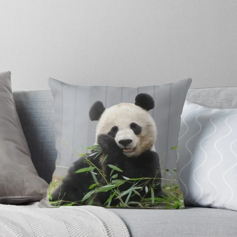 

Giant Panda Mei Xiang at the National Zoo Throw Pillow christmas pillowcases Pillow