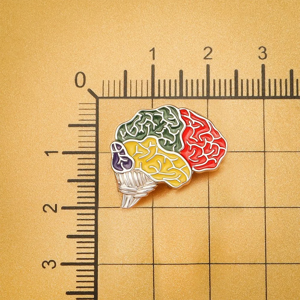 Hanreshe Creative Rainbow Brain Enamel Brooch Pin Medical Anatomy Oncology Lapel Jewelry Accessory Badge Gift for Doctor Nurse