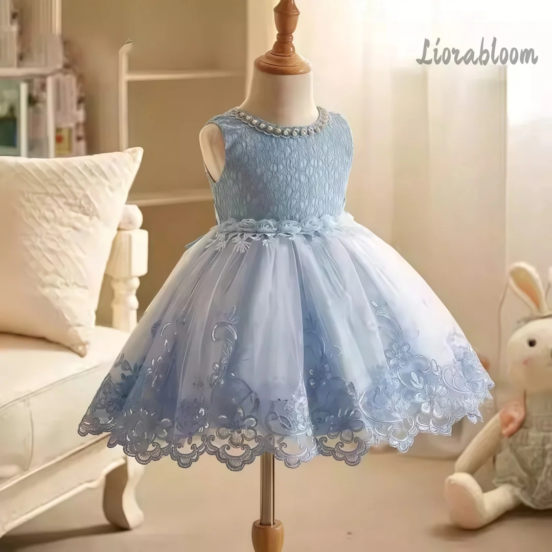 

Girls' Multicolor Lace Dress Sleeveless Dress Flower Girl Attire Party Dress Princess Dress Elegant Formal Dress