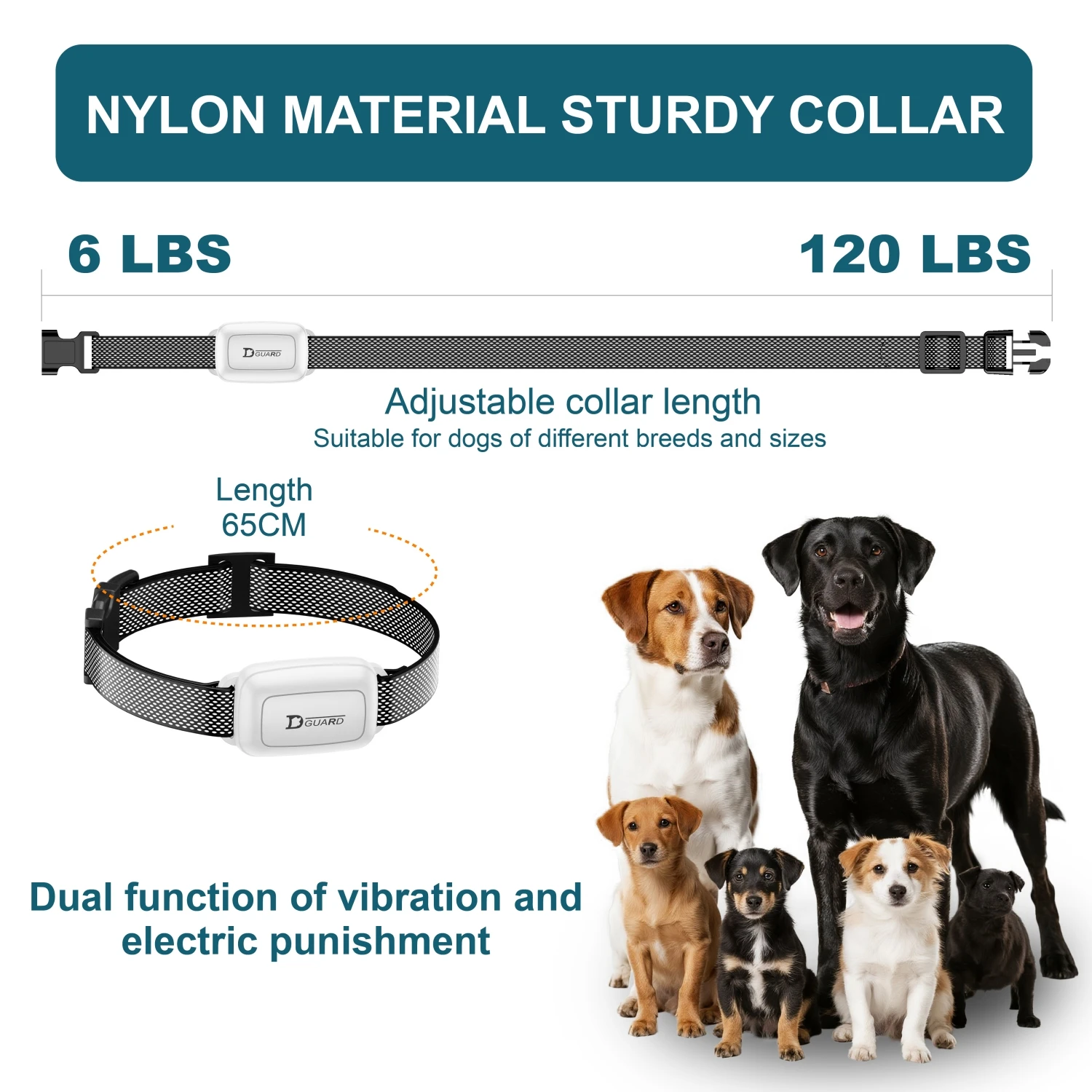 Thumbnail 2 - #63 Puppy Training Collars Comparison Guide
