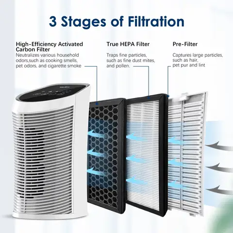 Filtro HEPA purificador de aire verdadero H13 de repuesto + filtro multifuncional compuesto de carbón activado adecuado para Sejoy AP-2202