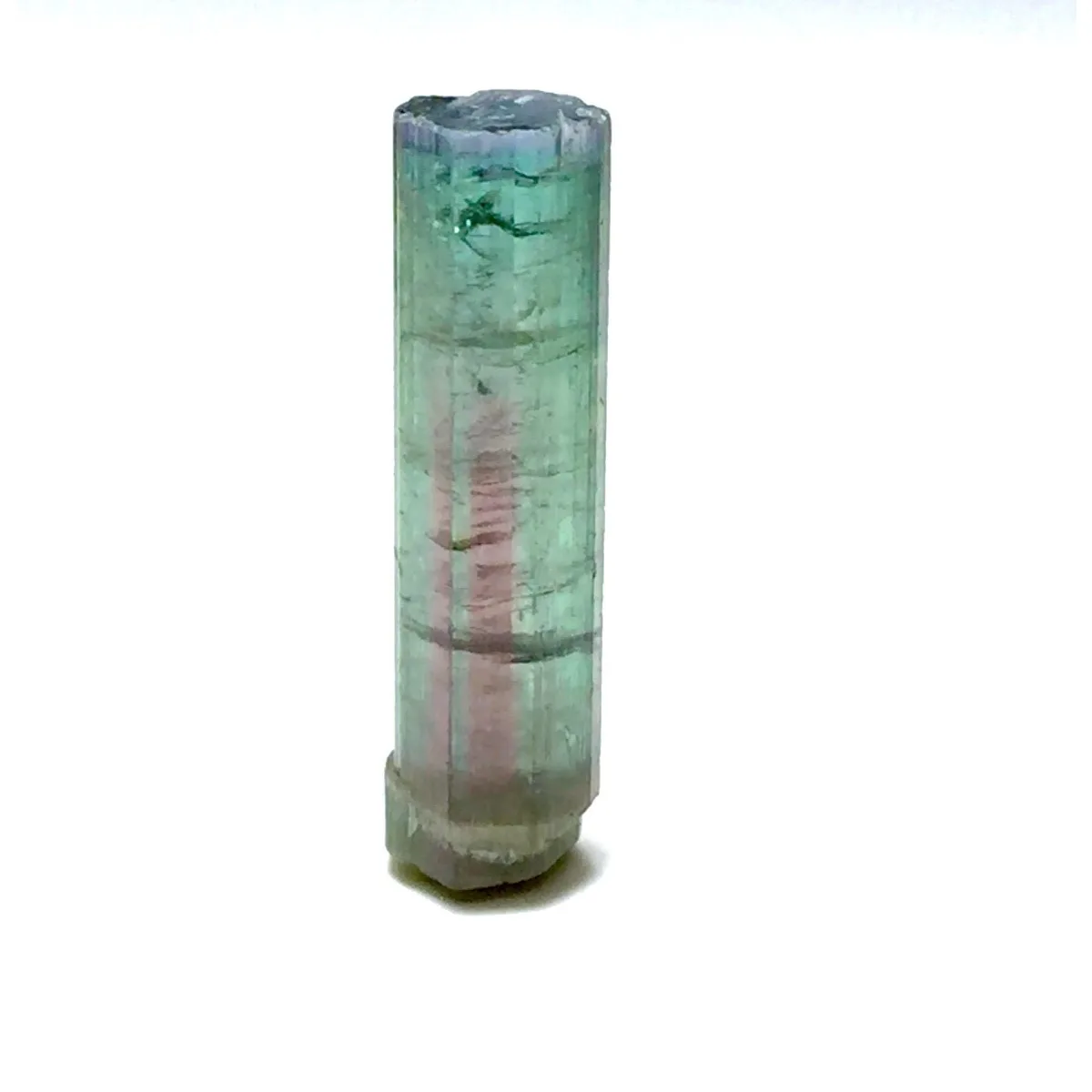 Brazilian Elbaite Mineral Stones, 10g 5-15mm Multicolor Stones, Display Box for Mineral Collection & Shelf Display