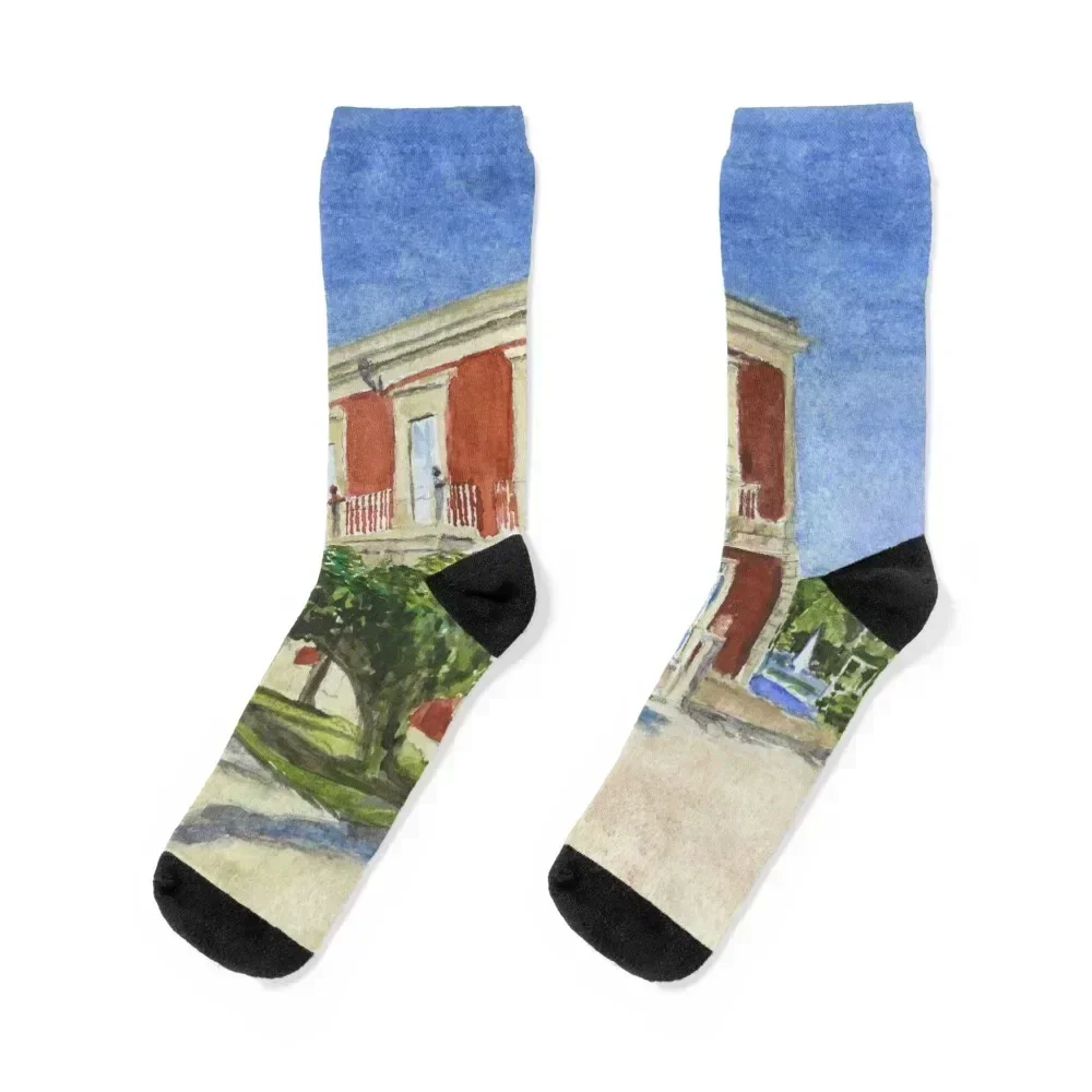 Villa Isola, Siracusa, Sicily Socks sheer cool bright garter ankle Women's Socks Men's happy custom winter Ladies Socks Men's