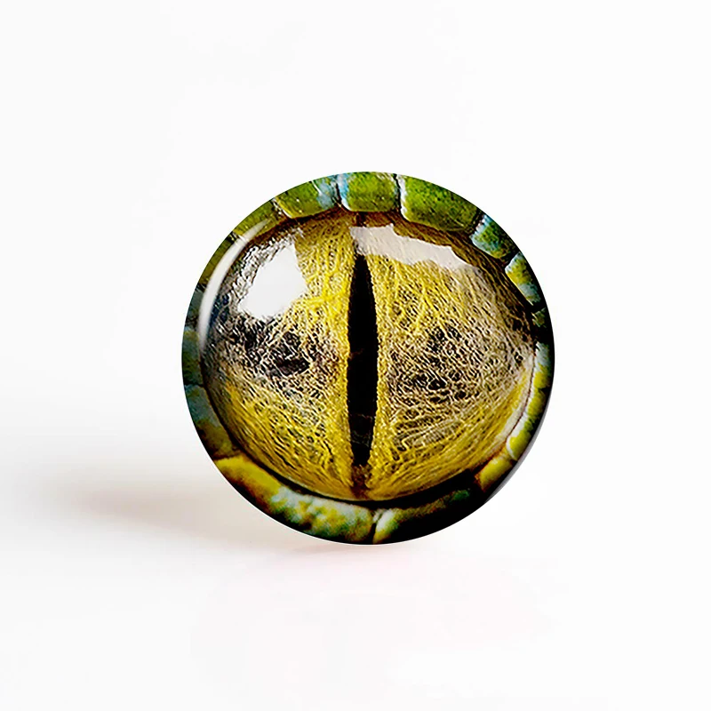 5Pcs/lot Animal Eyes Glass Dome Dragon Snake Owl Cat Tiger Evil Eyes Cabochon 25MM Diy Jewelry Supplies Craft