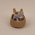 B5-with dog doll