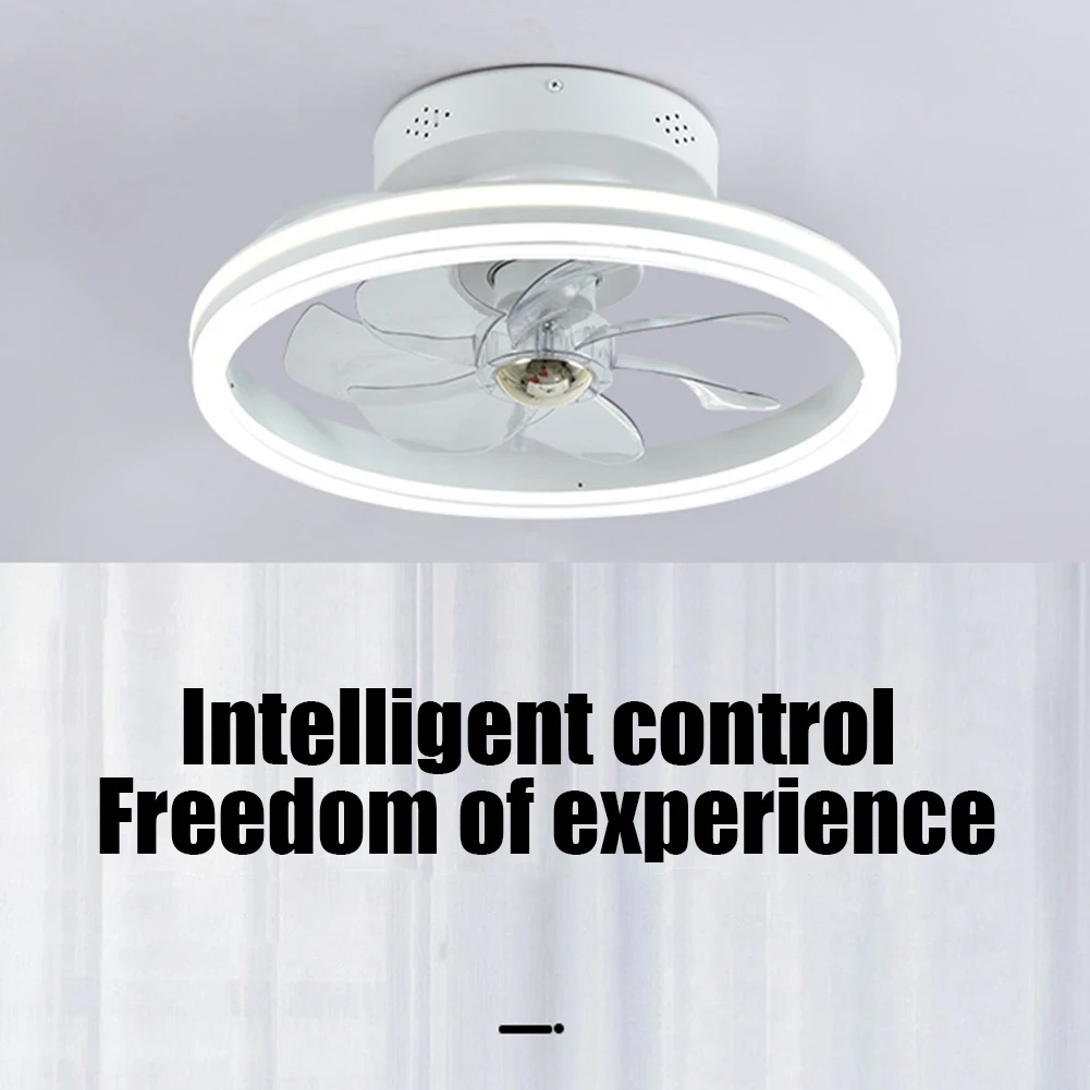 

Modern Nordic Creative LED Ceiling Fan Ceiling Light Remote Control Stepless Dimming Indoor Decoration Lamp For Living Room