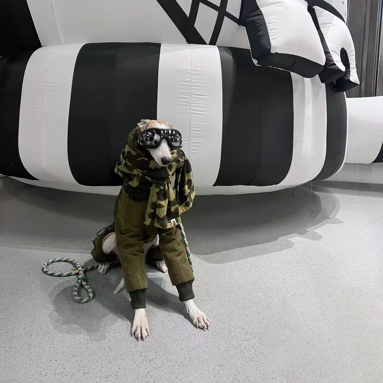 Winter Super-thick Whippet Army Green Clothes Quilted Turtle Collar Dog Coat Warm Italian Greyhound Adjustable Cotton Jacket