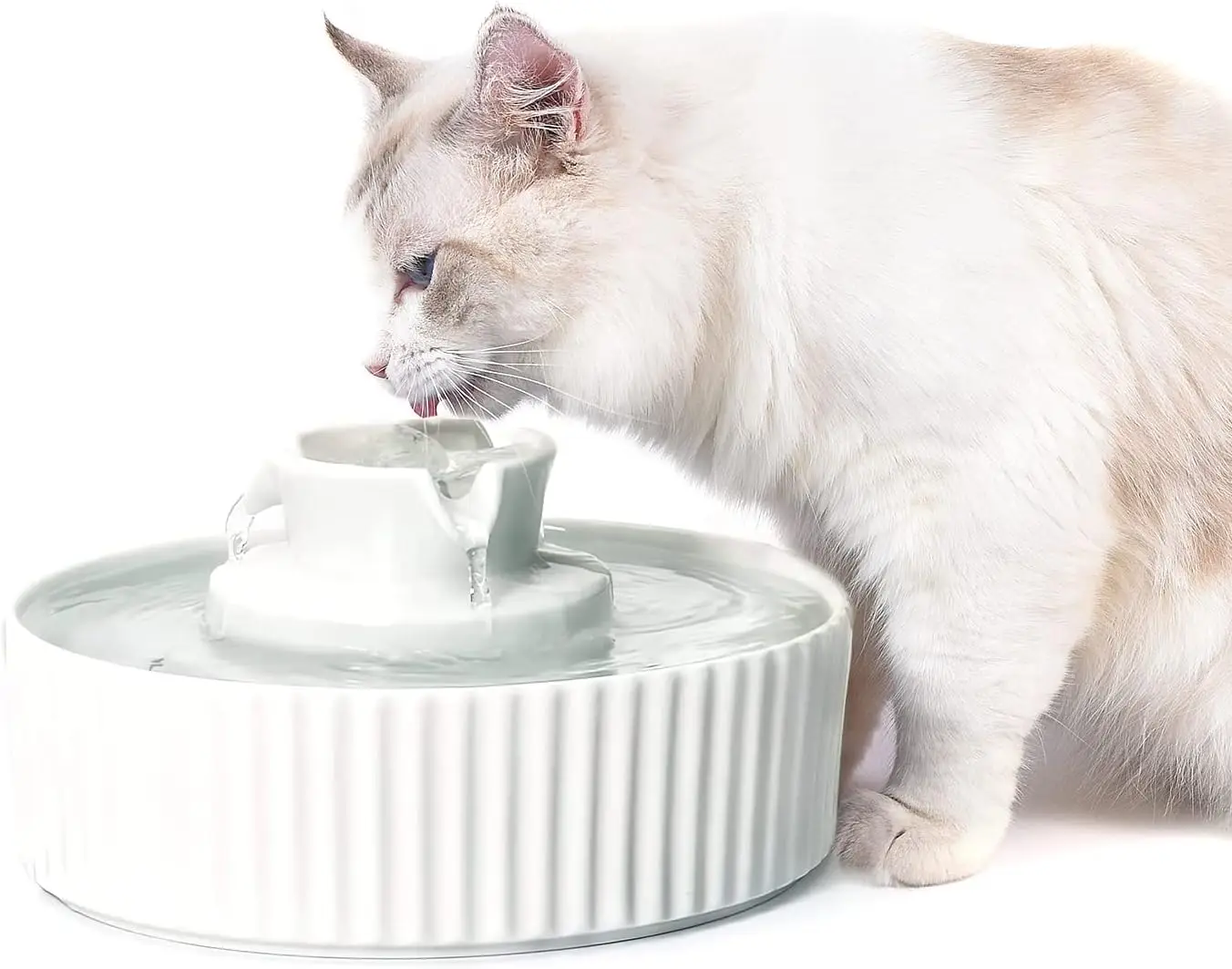 

Ceramic Cat Water Fountain, 2.1L Pet Water Dispenser with Filter & Foam (White)
