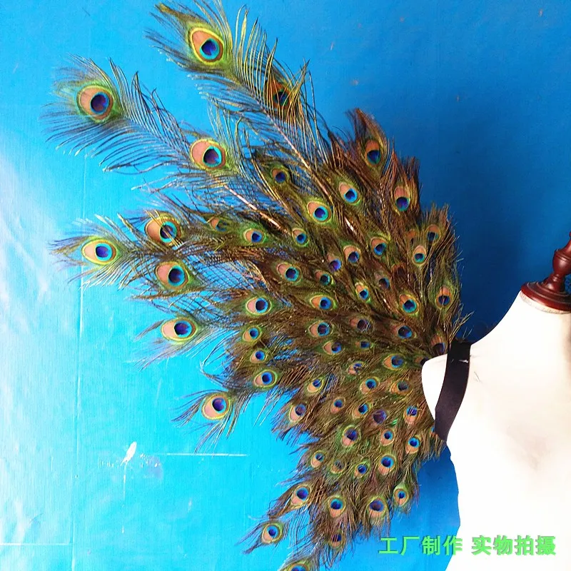 free shipping creative cosplay wing Peacock feather wings Nightclub Catwalk Model Dance Party photo studio deco props