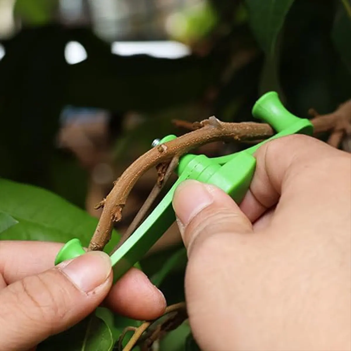 Spalmatori per arti, 25 pezzi Spalmatore per rami di alberi da frutto Nuovo estrattore per spalmare rami per modellare, Strumento per piegare rami di piante