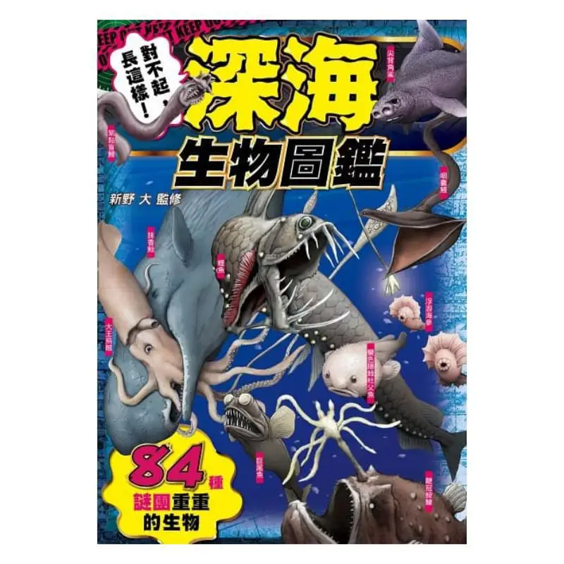Sorry It Looks Like This Deep Sea Life Guide 84 Mysterious Creatures Daisuke Shino Ruisheng Culture 9789864013838 Book
