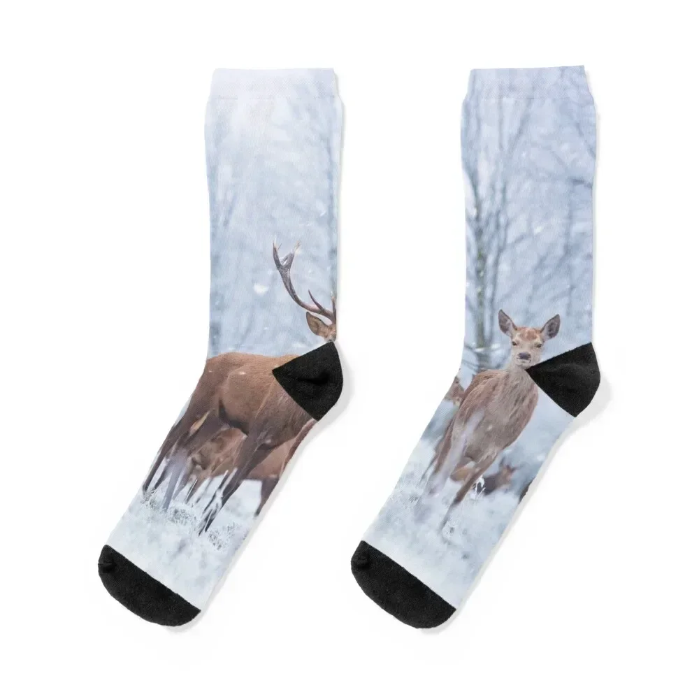 Narnia red deer family Socks Soccer hockey Wholesale sports and leisure Luxury Woman Socks Men's