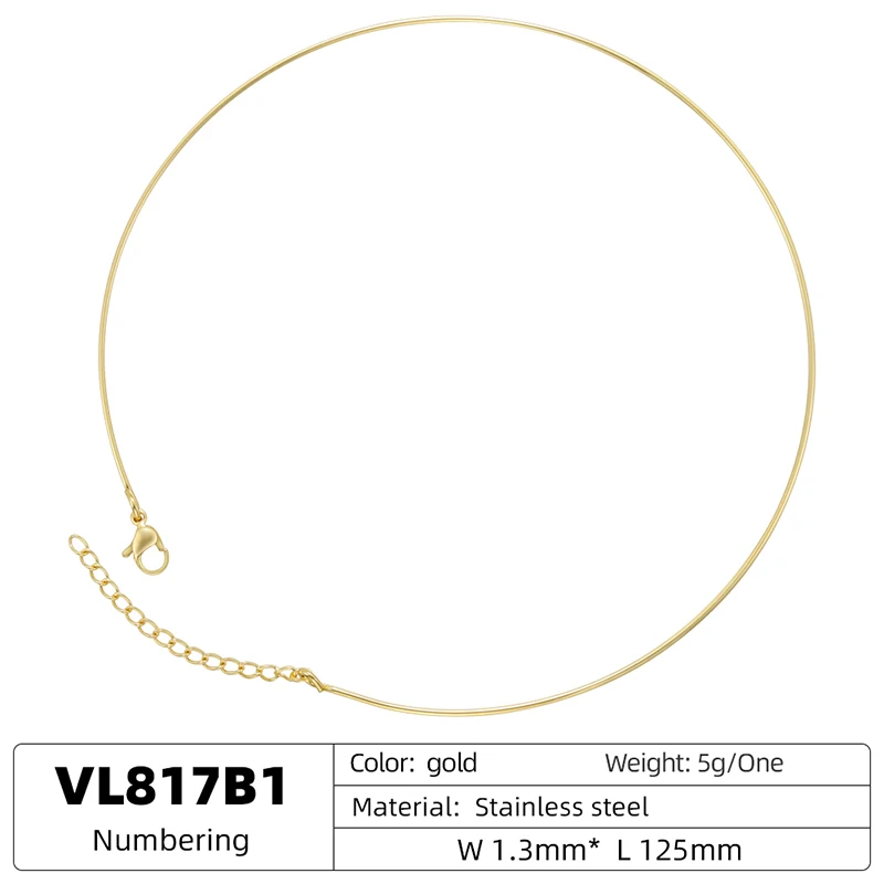 Edelstahl Feiner Runder Choker mit Karabinerverschluss, Verstellbar, Hypoallergen, Verblassungsbeständig, Schmuckherstellungszubehör: VL817 – Detail 4