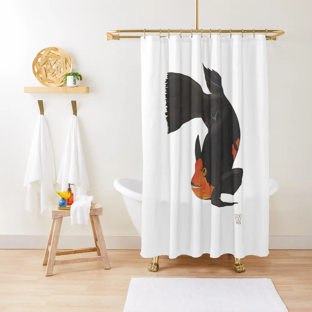 

Harlequin Wrasse Shower Curtain Bathroom Shower Bathroom Decor