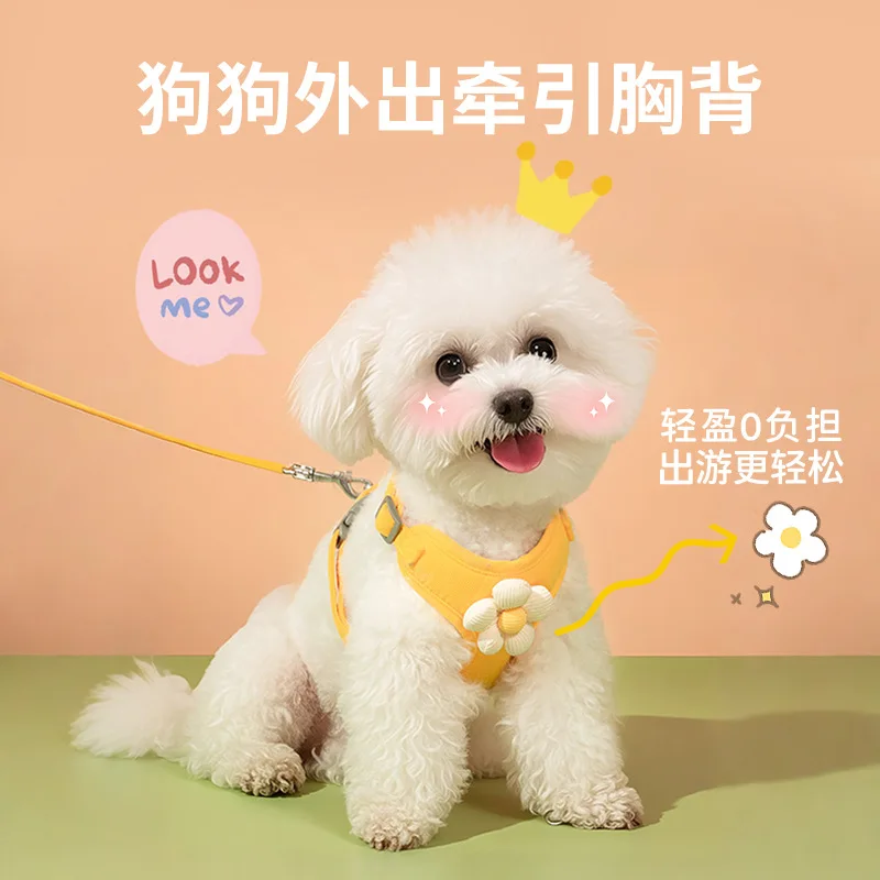 

Pet out small daisy embroidered leash lace vest dog cat chest strap small dog chest back