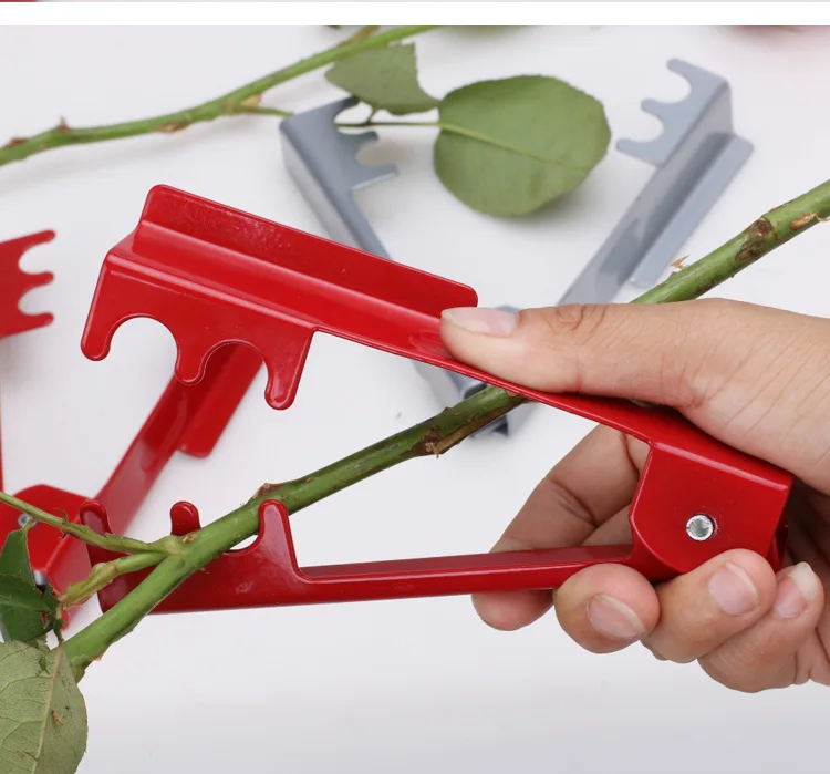 

Needling Forceps Rose Pricking Forceps Rose Pricking Tools Flower Shops Rose Pricking Tool Pricking Clips Pricking Treasures