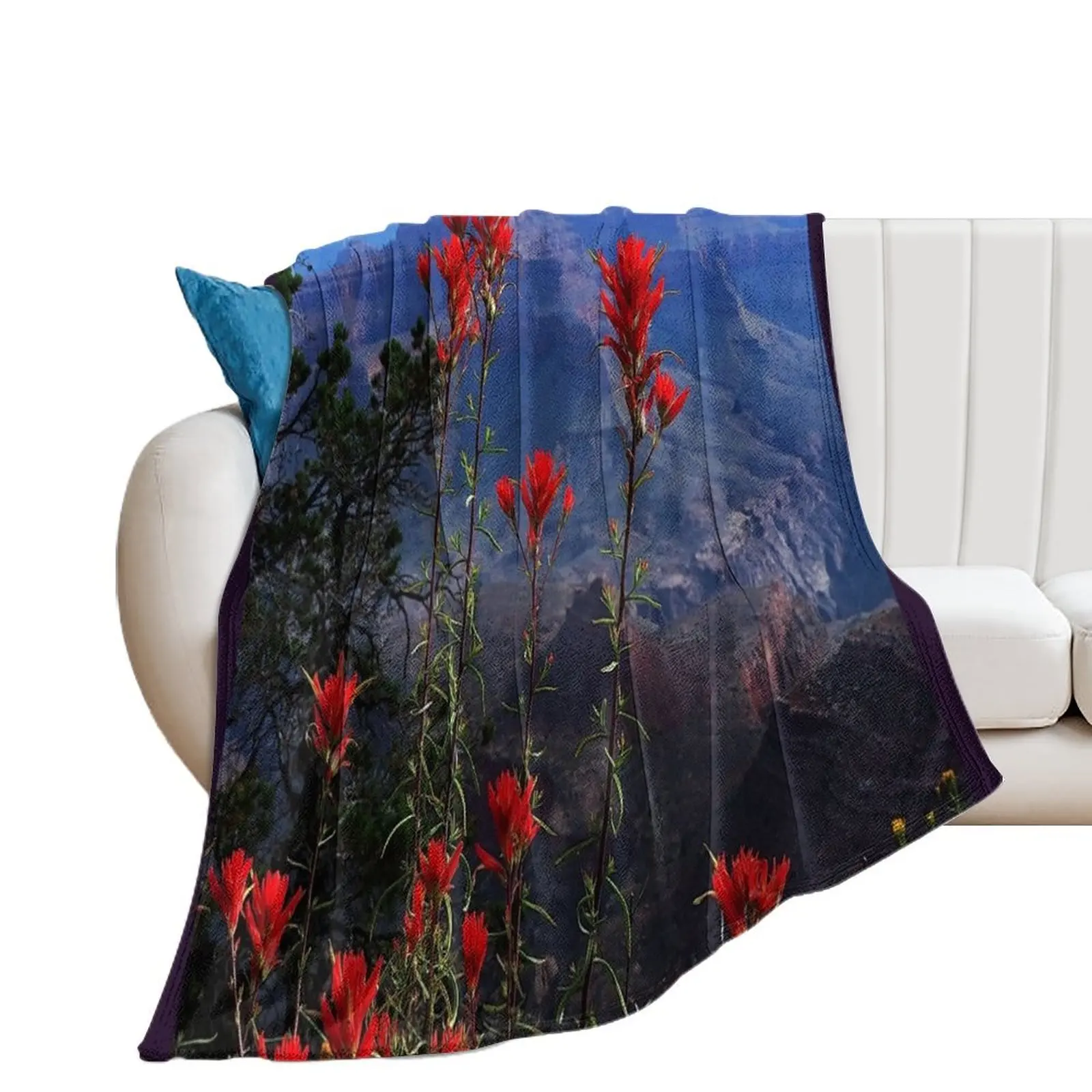 Desert Paintbrush Wildflowers Grand Canyon Arizona Throw Blanket Hairy Blankets For Baby Blankets