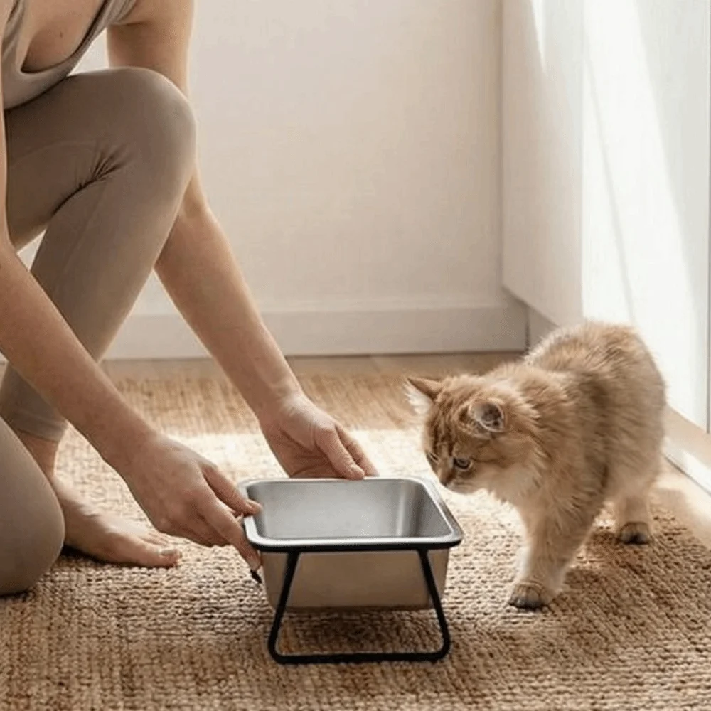 

Stainless Steel Dog Food Bowl Neck Protection Elevated Stand Water Drinking Bowl Anti-Tip Pet Water Food Dish for Cats And Dogs