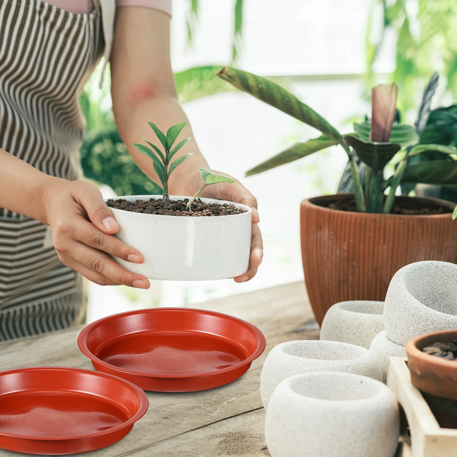 

5pcs Red Plastic Flower Pot Saucers 160# Flat Edge Plant Drip Trays Watering Bottom Stable Base Round Tray for