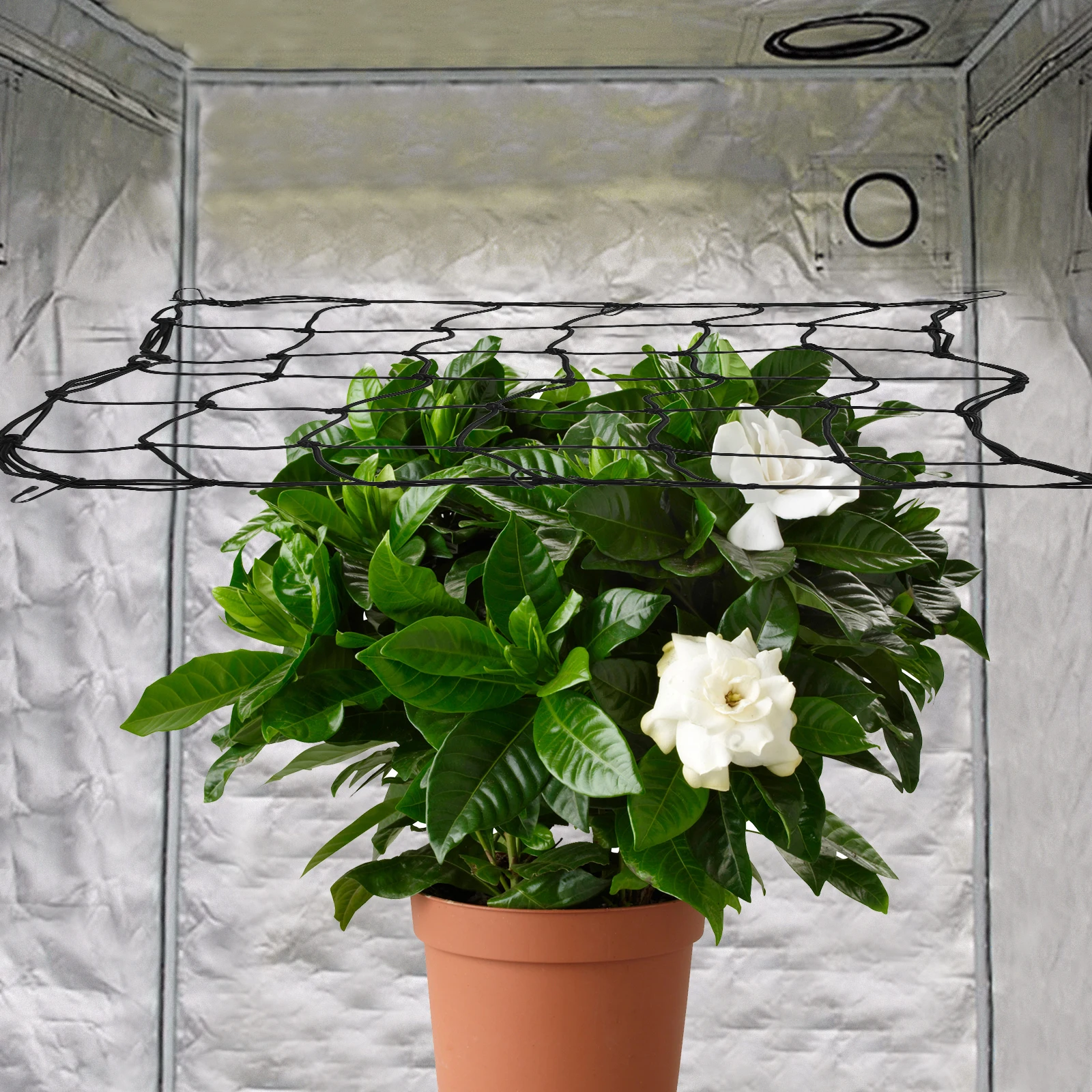 

Elastic Plant Support Net Premium Garden Hydroponic Grow Nets Stretchy Trellis Mesh Heavy Duty Accessories Fruit Veggie Flower