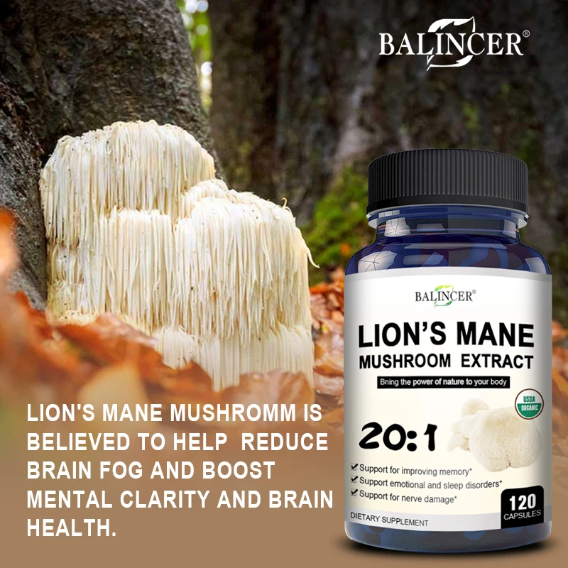 Organic Lion\'s Mane Capsules - Brain Mushroom Supplement for Focus and Immune Support, Brain Health Memory and Energy