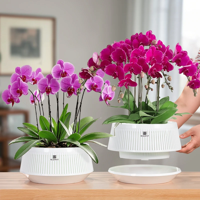 Meshpot-Orchideentopf mit Löchern, Blumentopf aus Kunststoff, dekorative afrikanische violette Töpfe mit Luftschnitt und guter Luftzirkulation – Detail 14