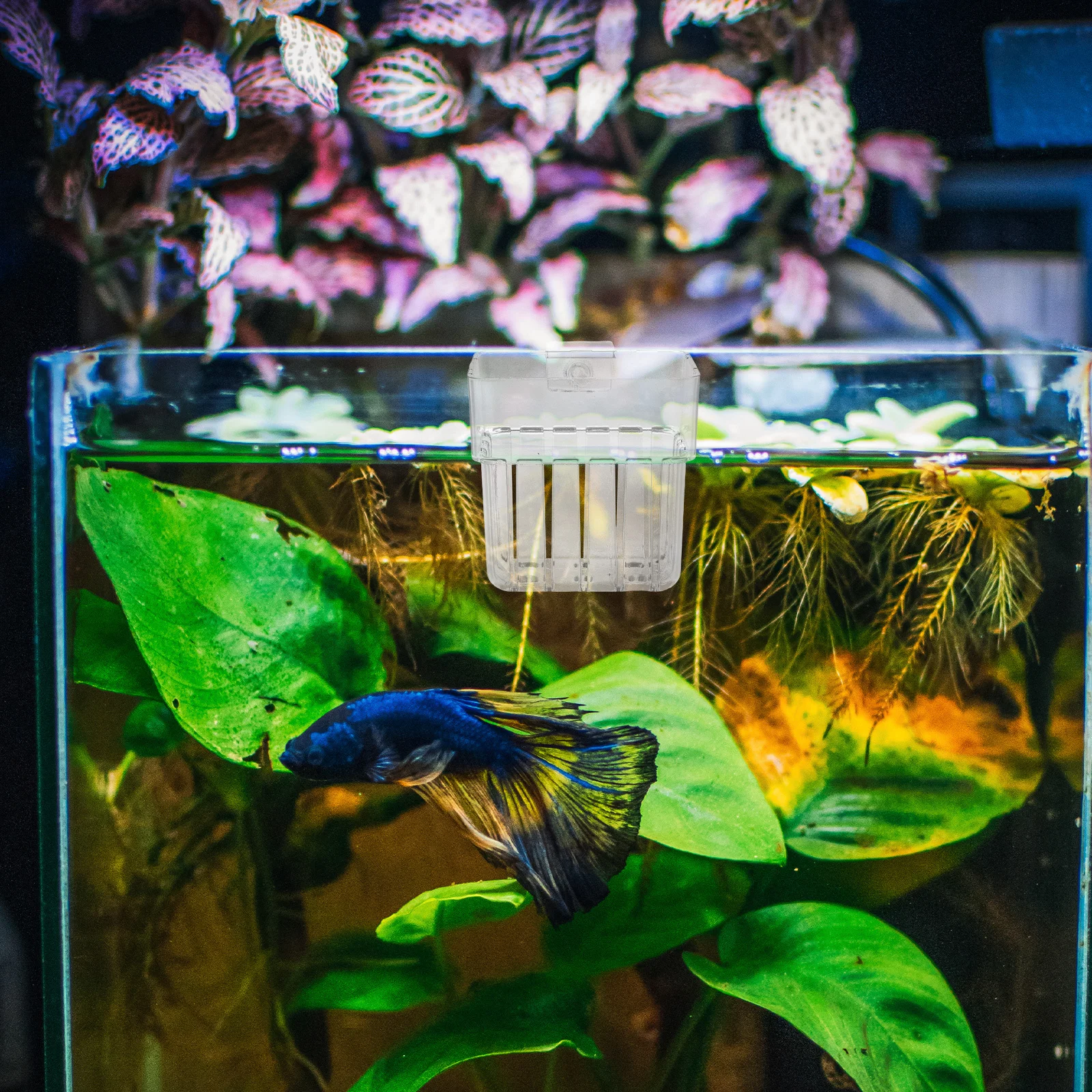 

8Pcs Aquarium Plant Holders Clear Acrylic Hanging Pots Fish Tank Hydroponic Planters for Aquatic Decoration Tank Accessories