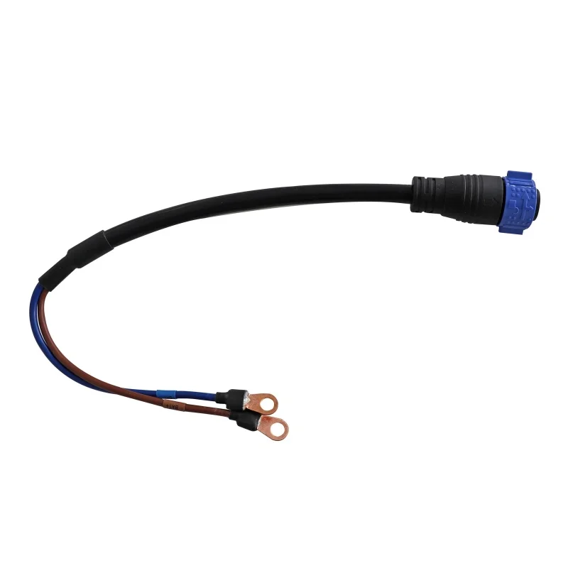 58,4 V 30 A Golfwagen Smart Lithium Batterie Ladegerät für EZGO ClubCar Yamaha