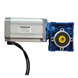 DC Motor 48 Volt 310 Volt Bldc Brushless Planetary Magnet Electric Dc Gear Geared Motors