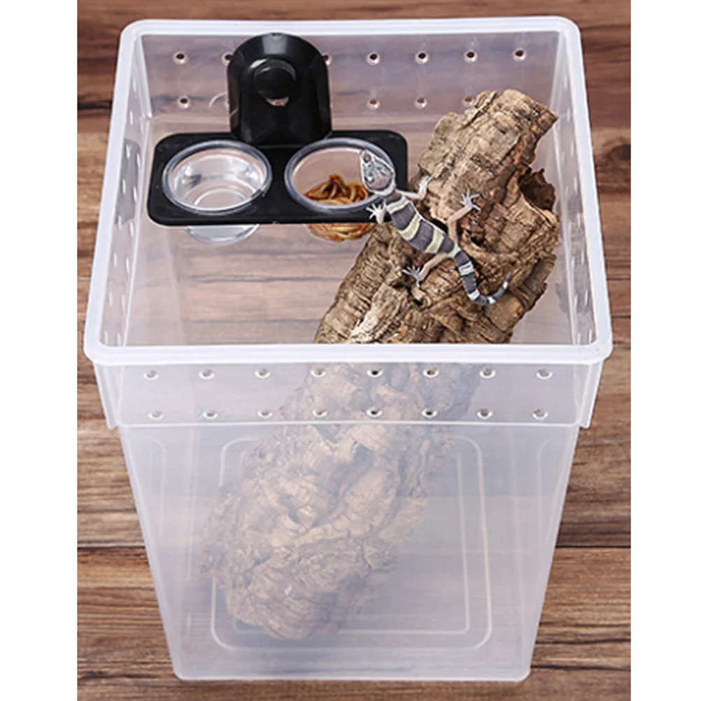 

1pc Double Grid Food Dish Thick Transparent Glass Reptile Feeder Bowl For Lizard Scorpion Pet Reptile Feeding Supply Habitat