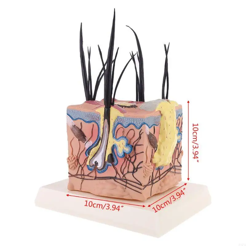 PXPA SICK DOG DOG CANINE CANINE SKINAMICAL MODER