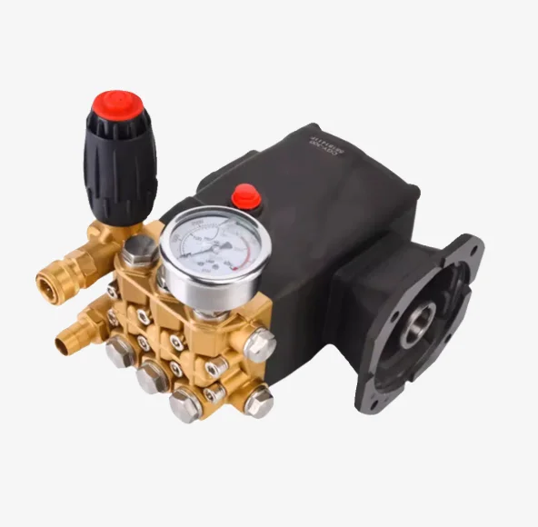 High Pressure Washer Pump Petrol High Pressure Cleaning Machine Triplex Plunger Pump