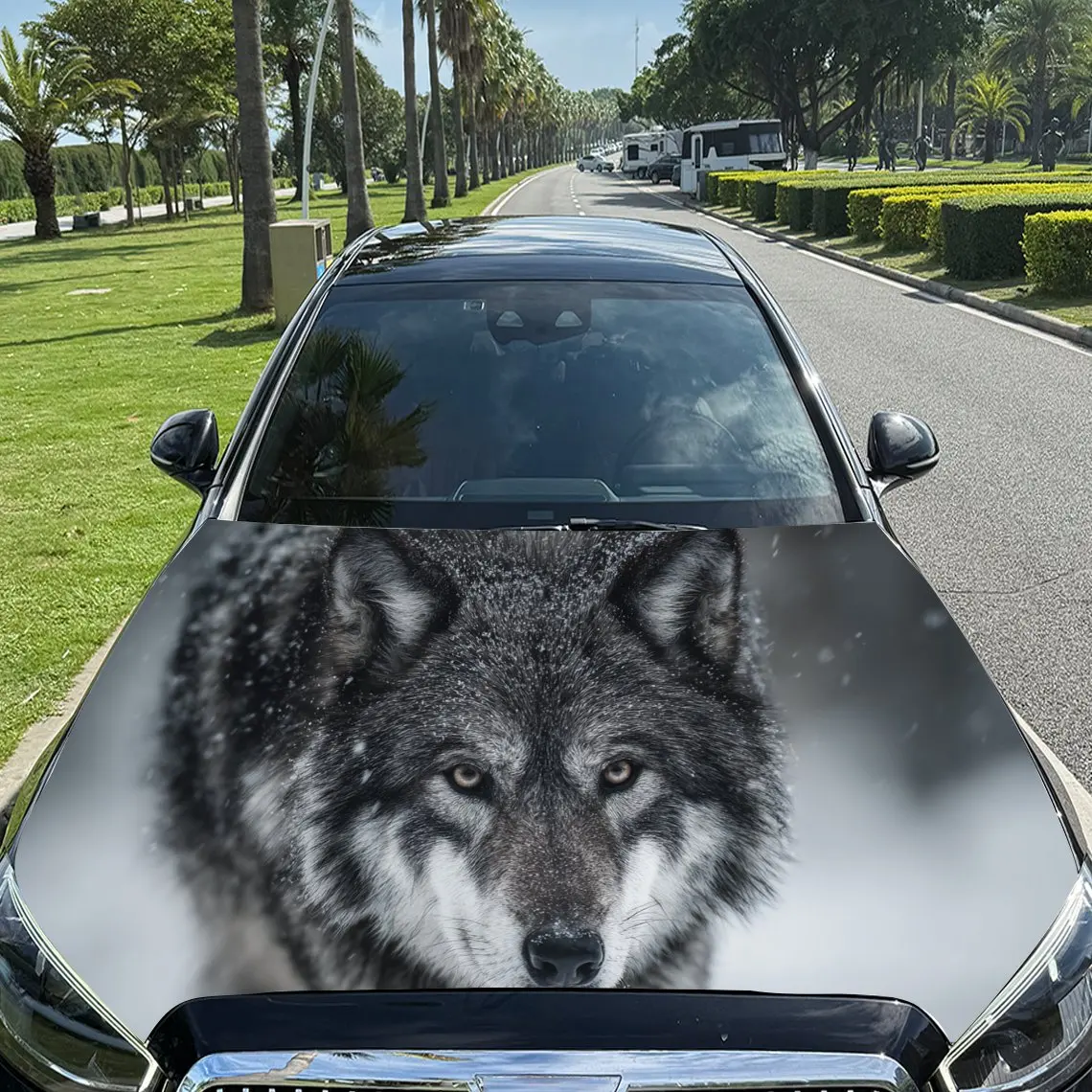 

Car Decals Wolf with Realistic Textured Background & Artistic, Striking Visual Details Car Hood Sticker, Waterproof Self - Adhes