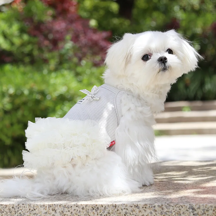 Ropa para gatos y perros: Falda de malla con volantes – Verano - imagen 5