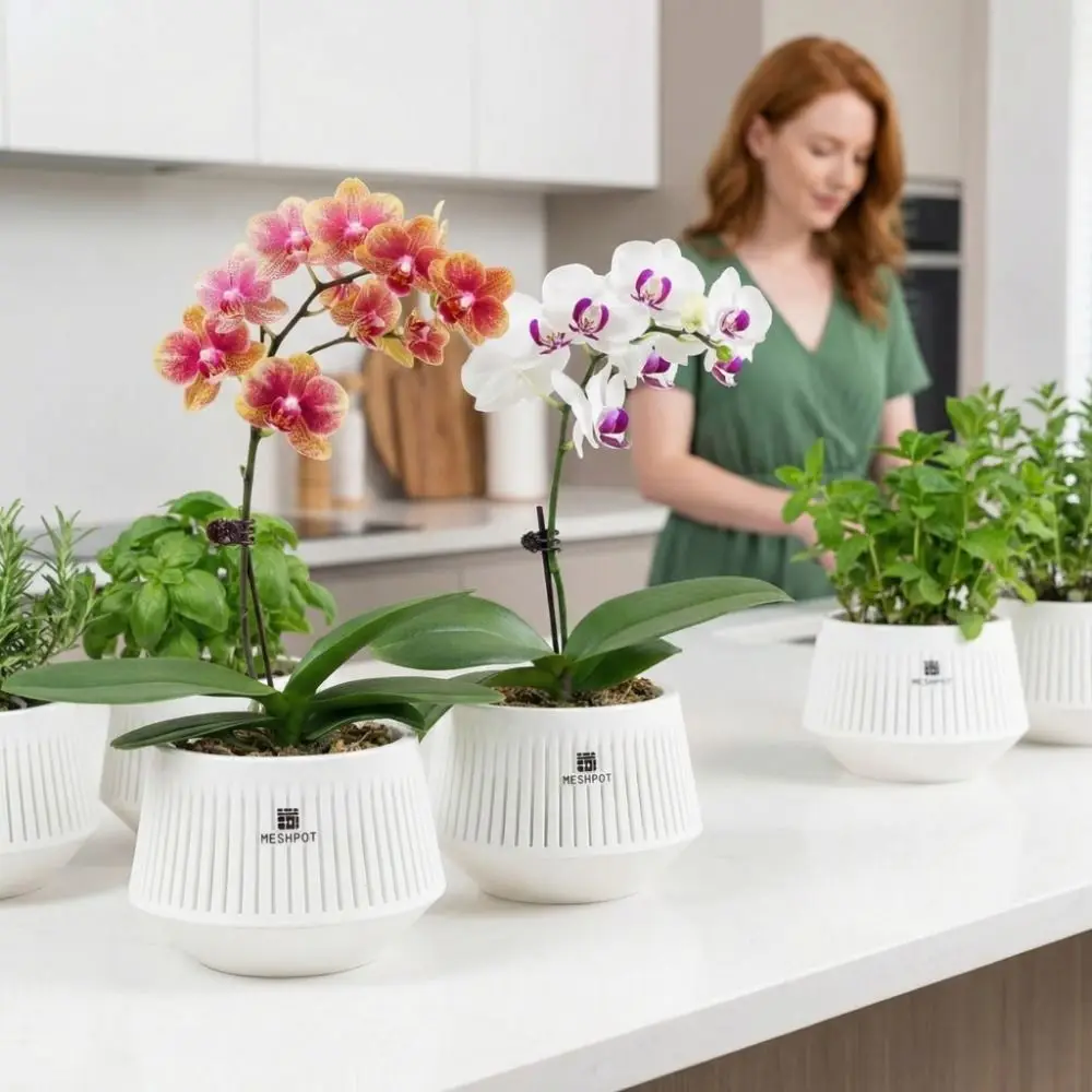 Split Type Meshpot Orchid Pot Thickening Moisturizing Root Control Flowerpot With Holes Resin Flower Pot Prevent Root Rot