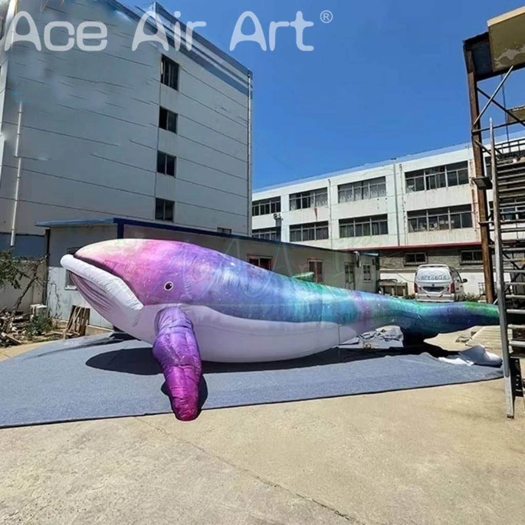 8 Meter Long Inflatable Whale Balloon Model for Party Events Air Blower Included