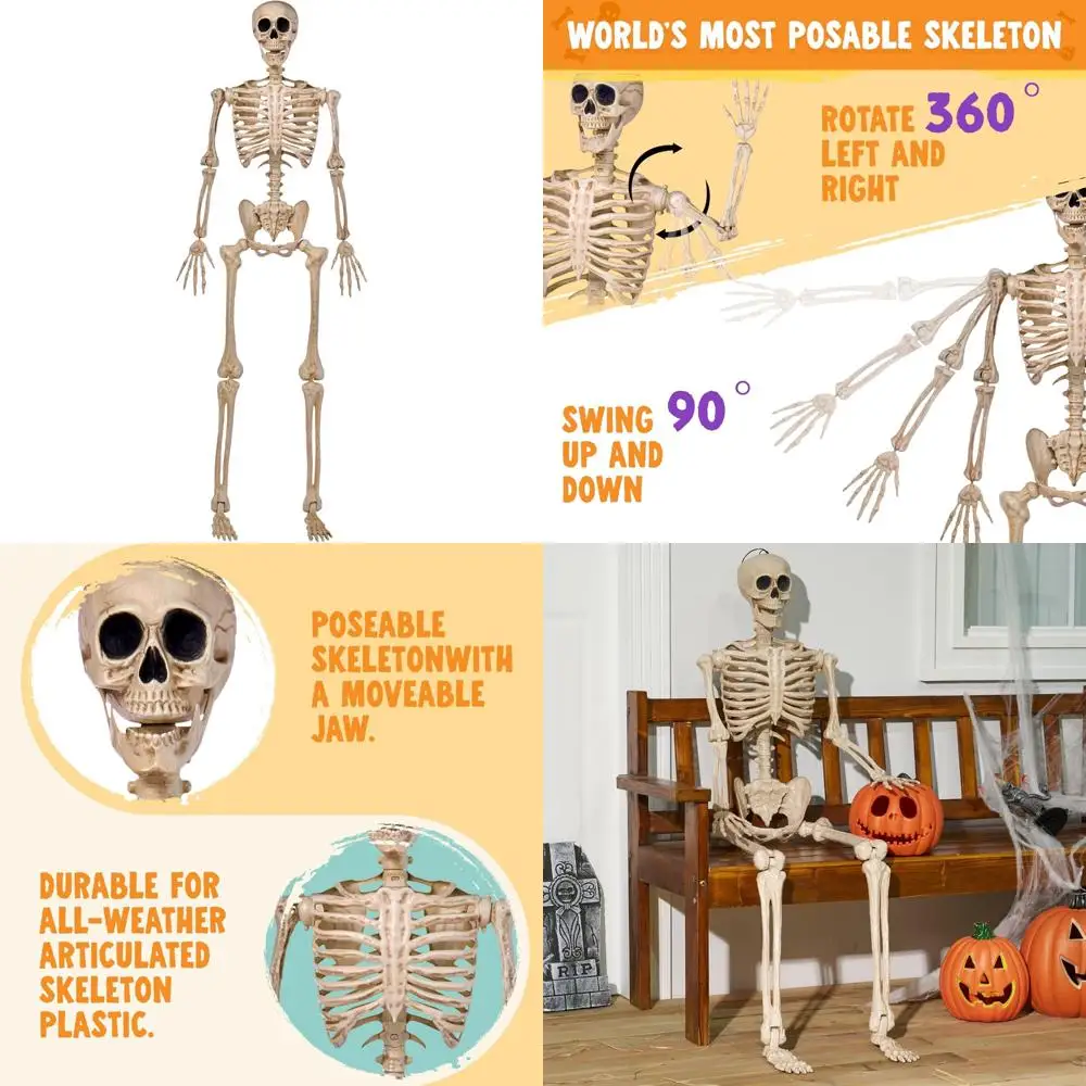 

Halloween Skeleton Decoration - Full Size Posable Skeleton with Movable Joints for Spooky Lifelike Display