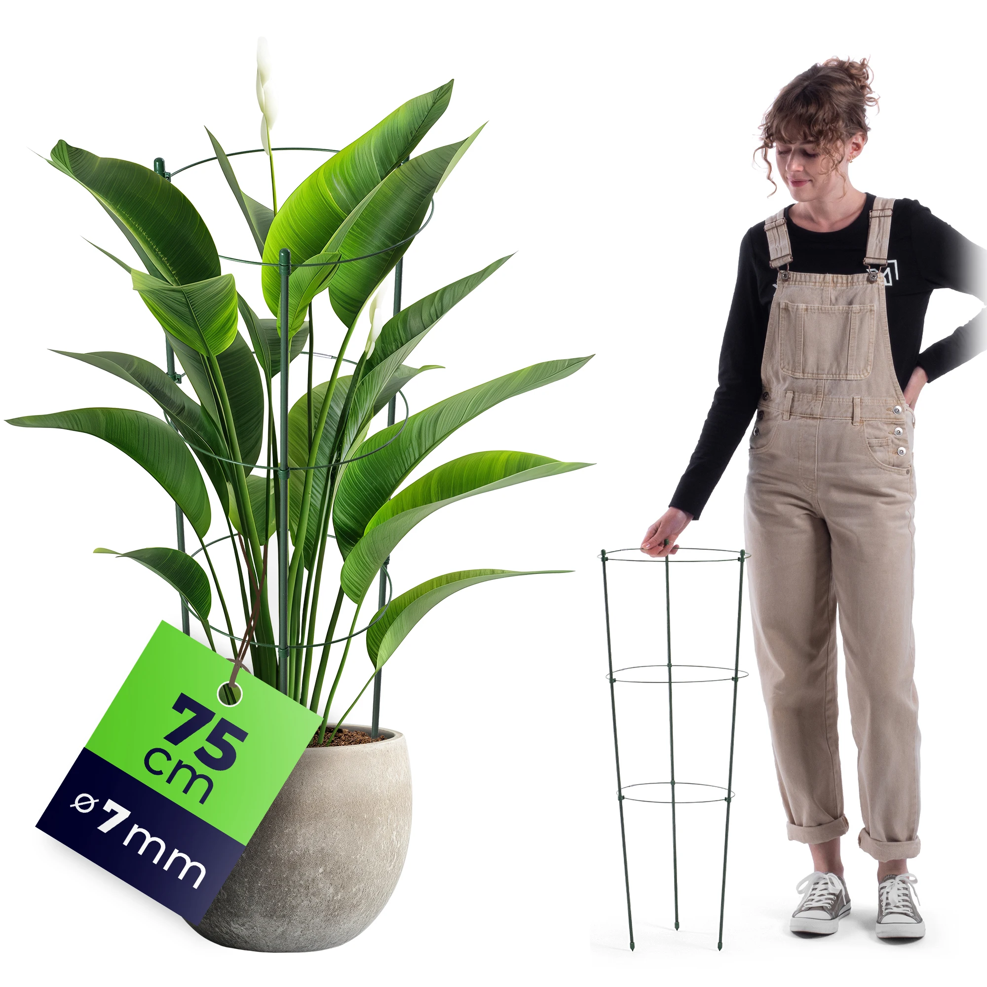 75cm plantensteunring, bloemenplantensteun, metalen steunringen