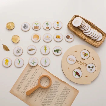 モンテッソーリ-木製パズル,赤ちゃんのおもちゃ,トランスデューサー付きの教育ゲーム,赤ちゃんのトレーニング