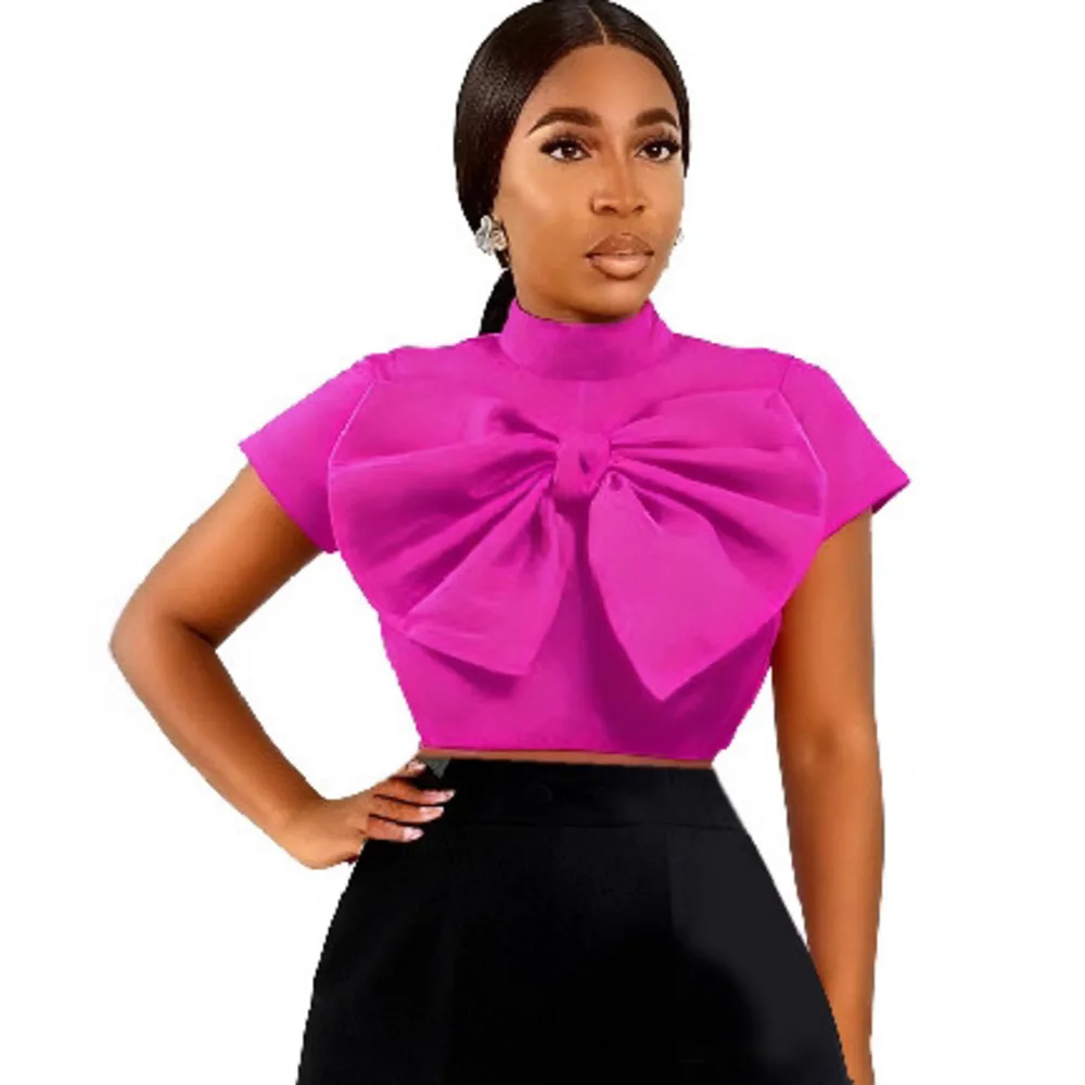 

Design Sense Niche Bowknot Stand Collar Short Sleeve Top Women's Slim Fit Versatile Short T-Shirt Tops