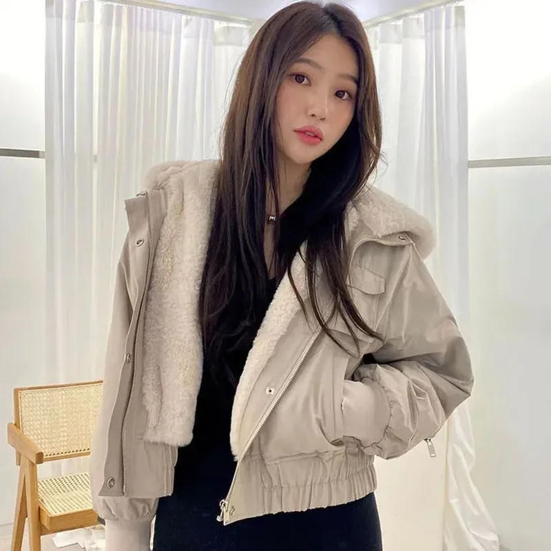 Female 2024 New Chic Warm Plush Outwear Women's Fleece Winter Jackets Korean Loose Long Sleeve Hooded Short Parkas Coat